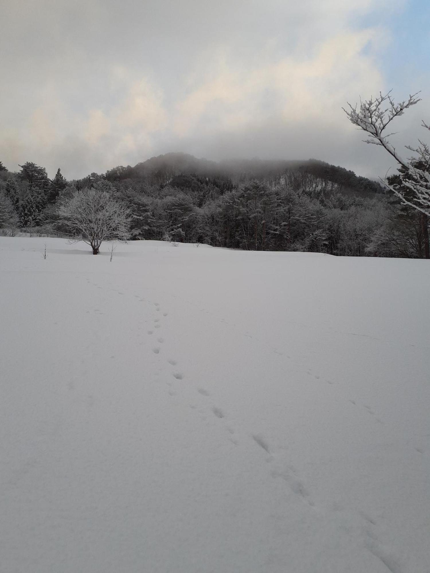 Tanehachi Farm Guesthouse - Vacation Stay 29709V 青森 外观 照片